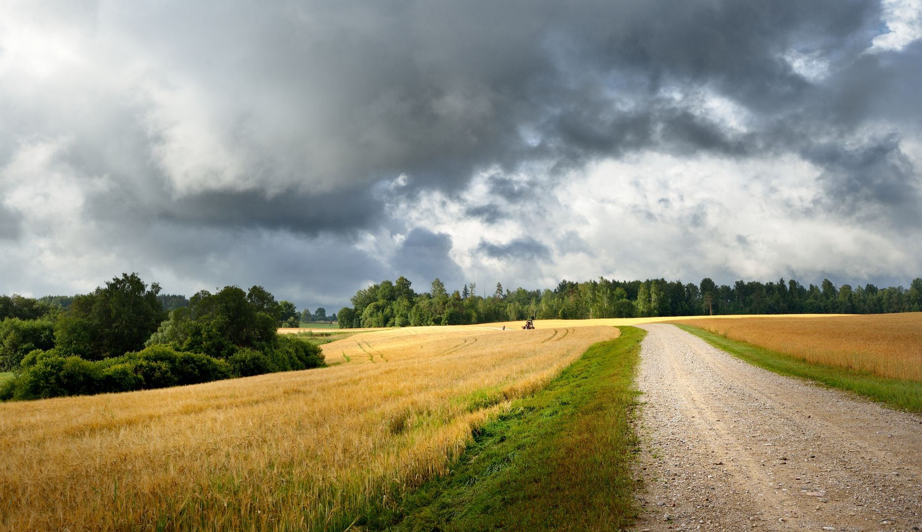 Storm clouds forming over farm field during harvest